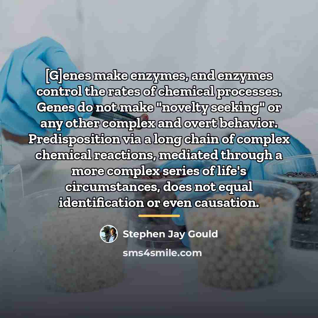 “[G]enes make enzymes, and enzymes control the rates of chemical…” quote by Stephen Jay Gould