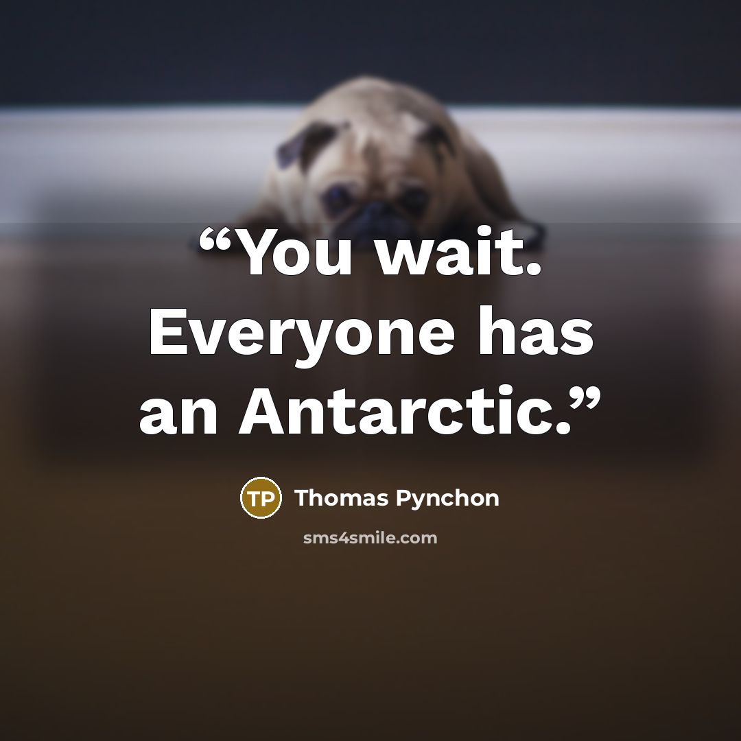 “You wait. Everyone has an Antarctic.” quote by Thomas Pynchon