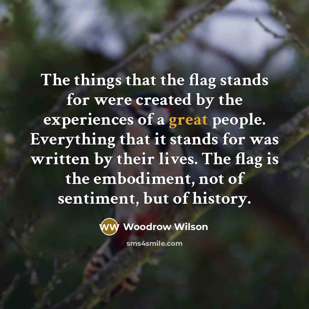 “The things that the flag stands for were created by…” quote by Woodrow Wilson
