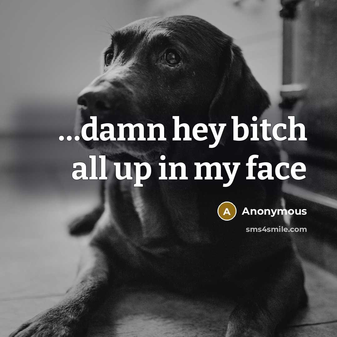 “…damn hey bitch all up in my face” quote by Anonymous