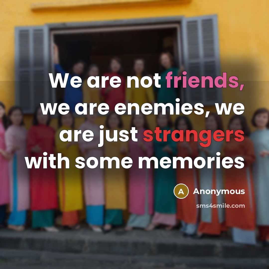“We are not friends, we are enemies, we are just…” quote by Anonymous