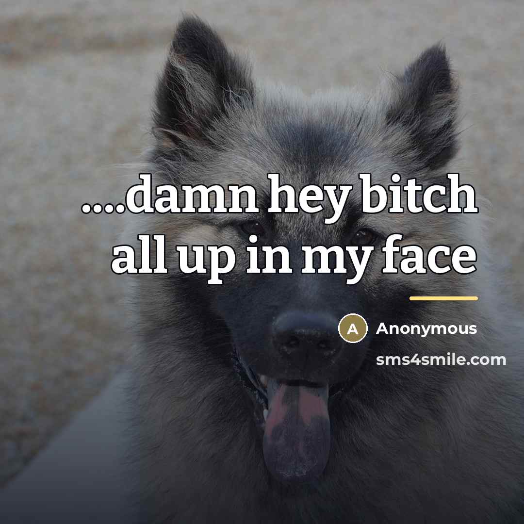 “....damn hey bitch all up in my face…” quote by Anonymous