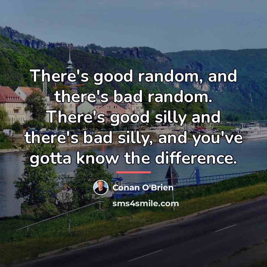 “There's good random, and there's bad random. There's good silly…” quote by Conan O'Brien