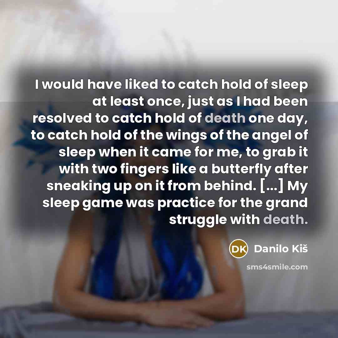 “I would have liked to catch hold of sleep at…” quote by Danilo Kis