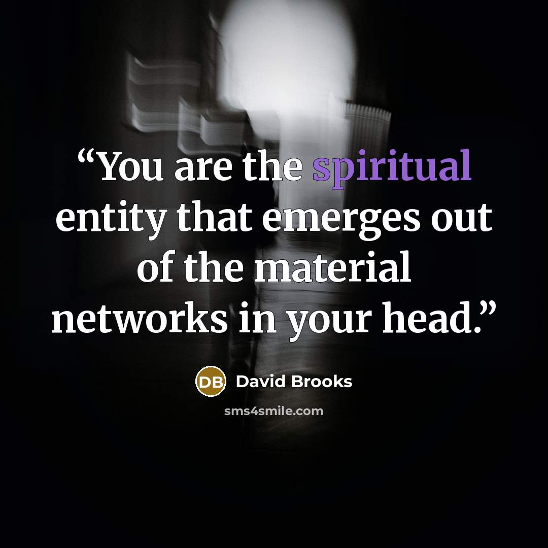 “You are the spiritual entity that emerges out of the material networks in your head.” quote by David Brooks