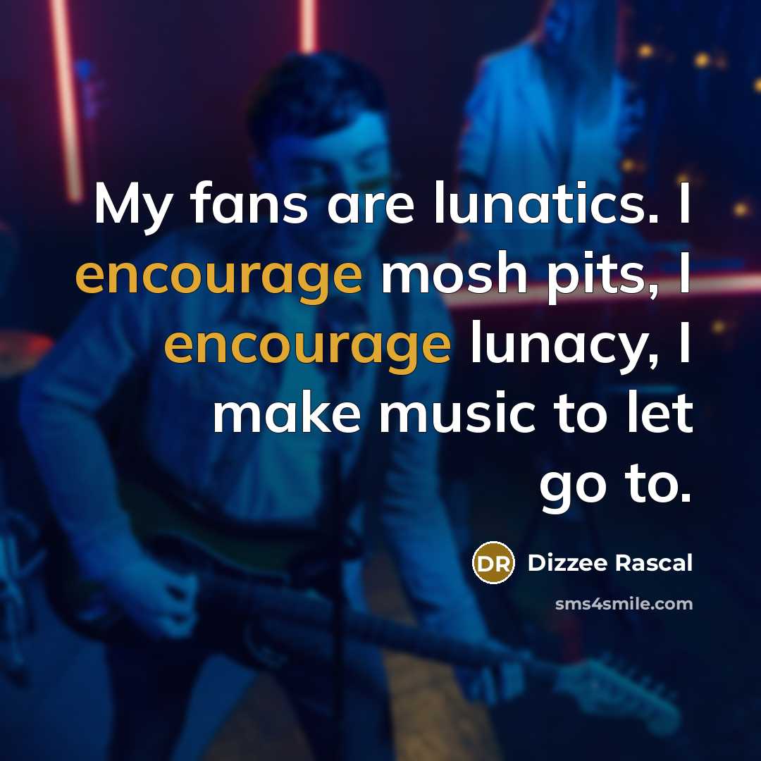 “My fans are lunatics. I encourage mosh pits, I encourage…” quote by Dizzee Rascal