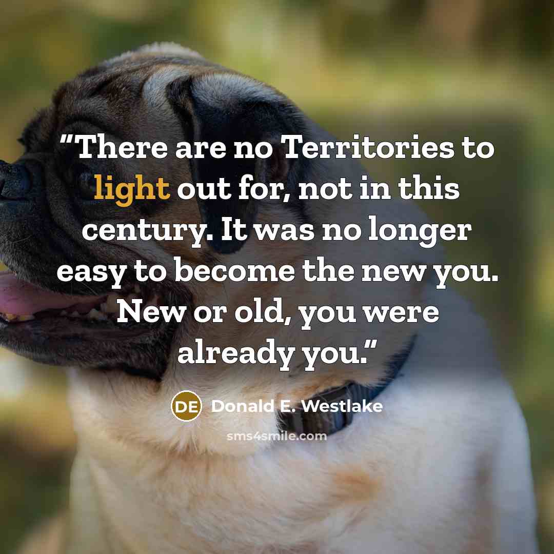 “There are no Territories to light out for, not in this century. It was no longer easy to become the new you. New or old, you were already you.” quote by Donald E. Westlake