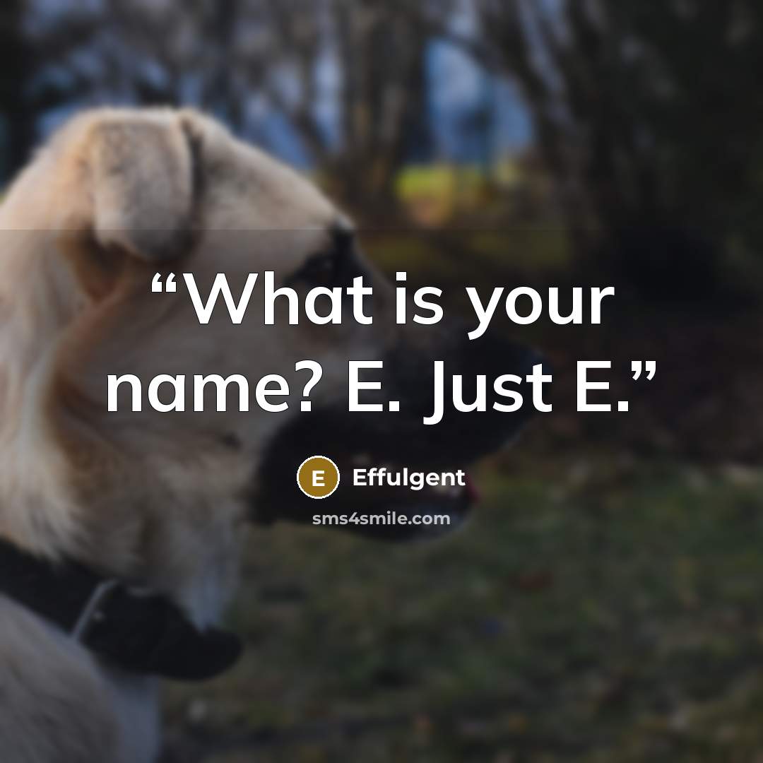 “What is your name? E. Just E.” quote by Effulgent