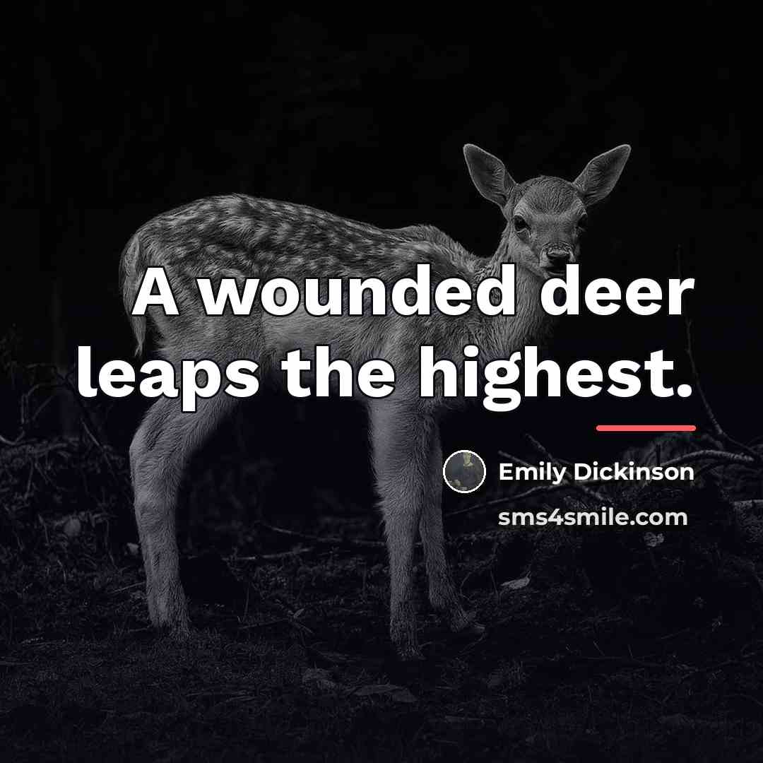 “A wounded deer leaps the highest.…” quote by Emily Dickinson