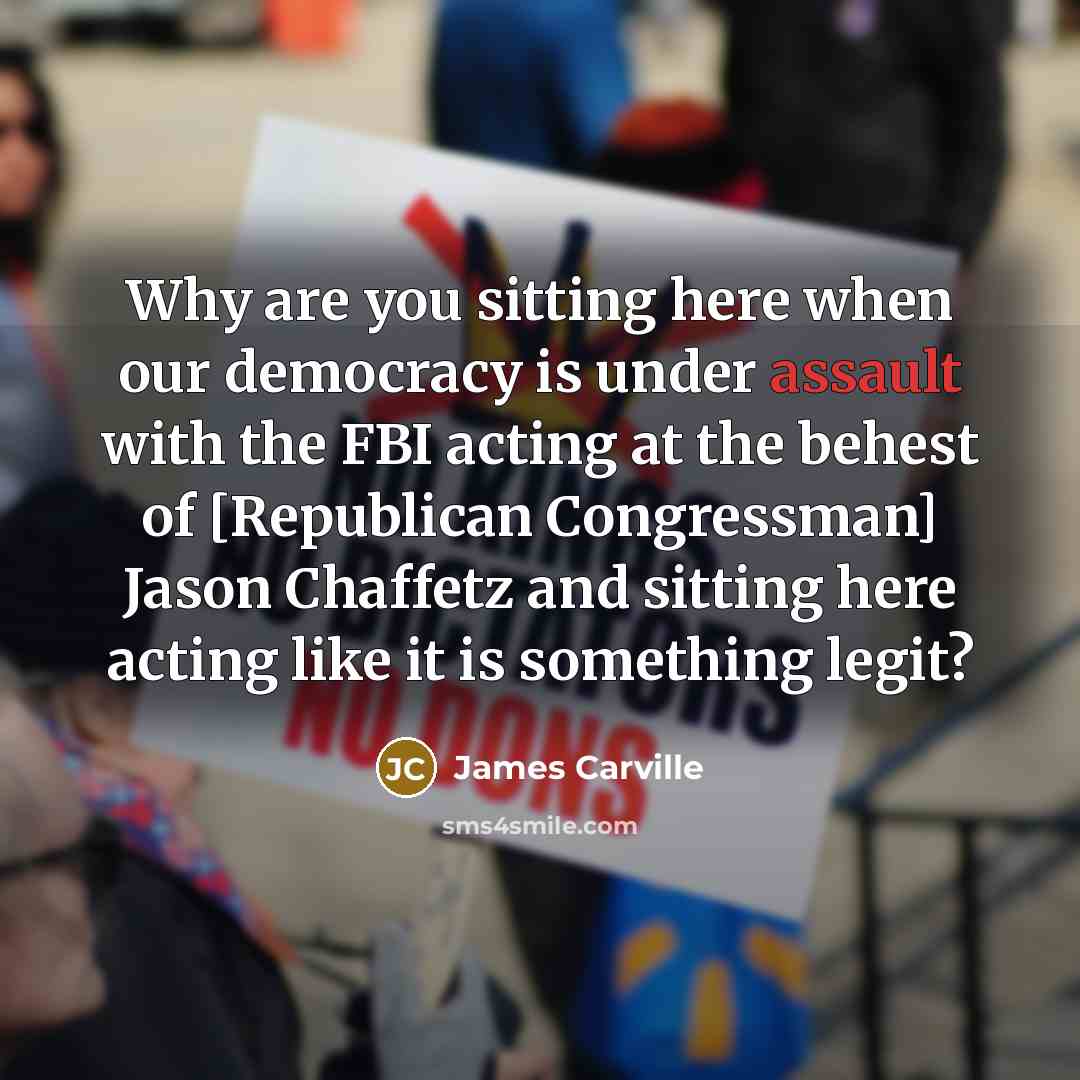 “Why are you sitting here when our democracy is under…” quote by James Carville