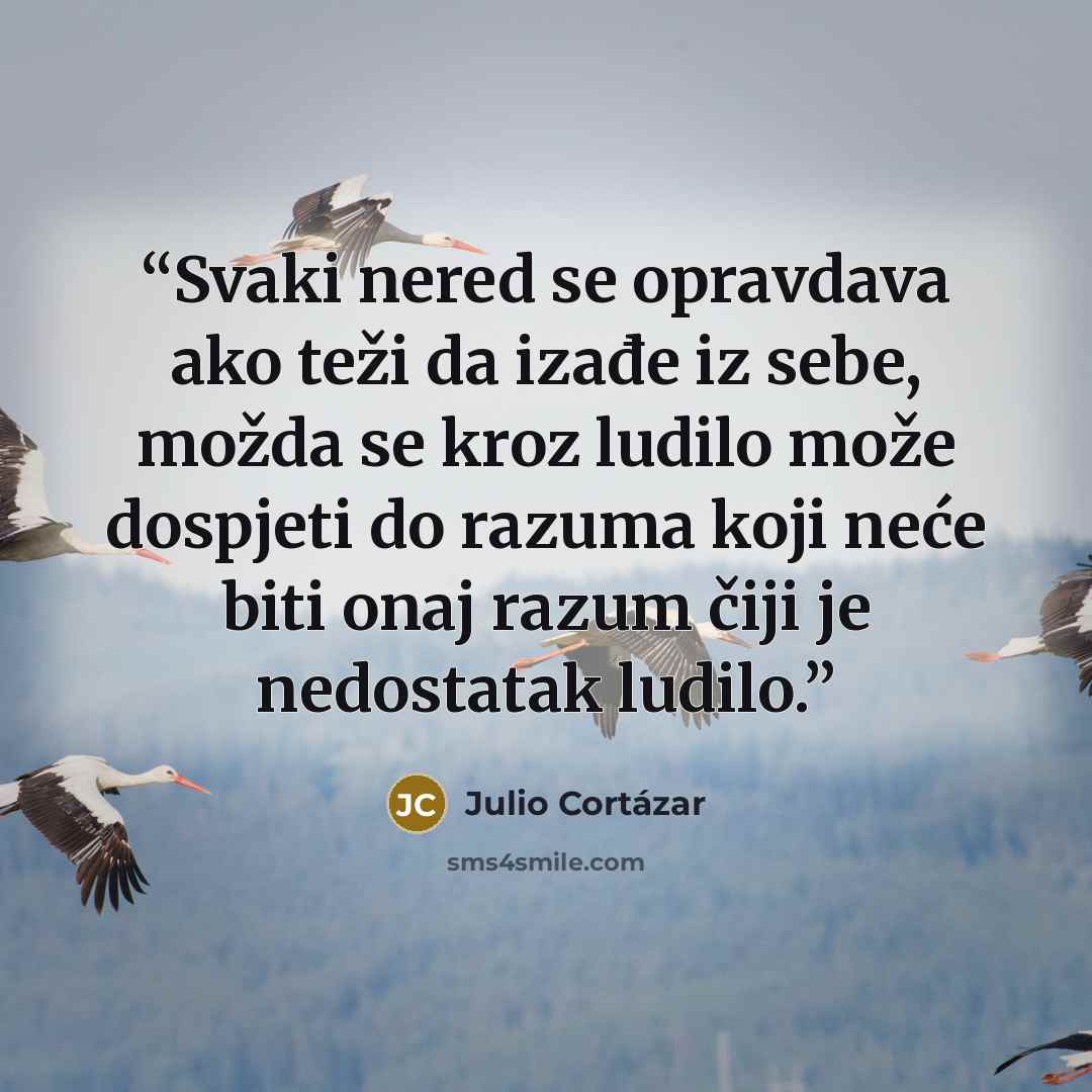 “Svaki nered se opravdava ako teži da izađe iz sebe, možda se kroz ludilo može dospjeti do razuma koji neće biti onaj razum čiji je nedostatak ludilo.” quote by Julio Cortazar