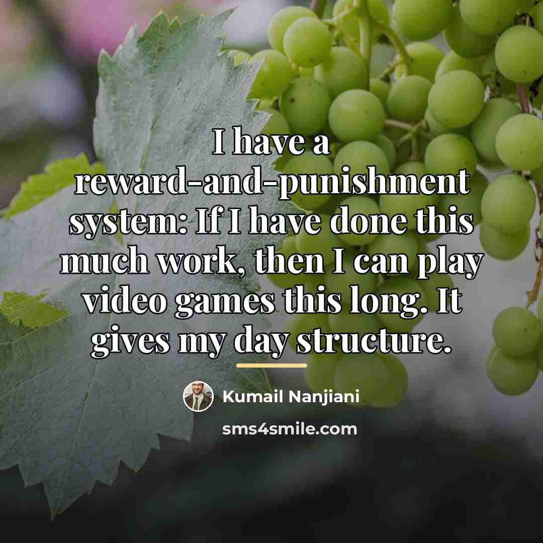 “I have a reward-and-punishment system: If I have done this…” quote by Kumail Nanjiani