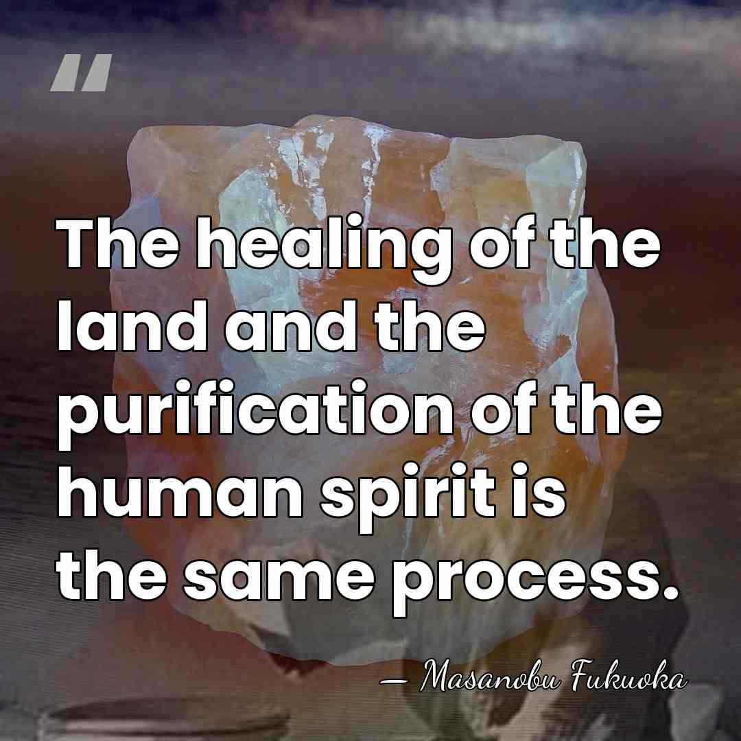 The healing of the land and the purification of the human spirit&hellip; - Masanobu Fukuoka