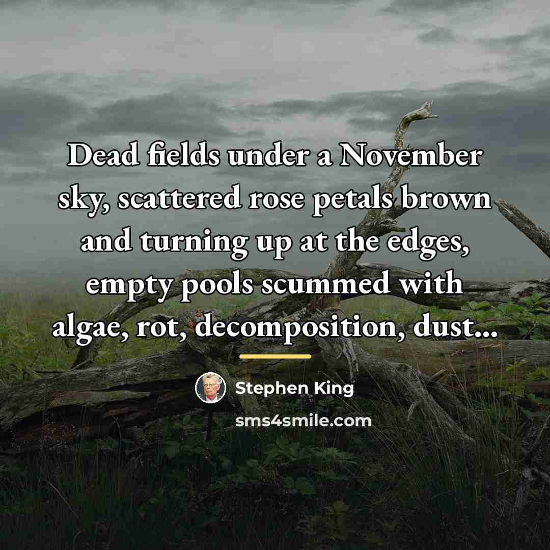 “Dead fields under a November sky, scattered rose petals brown…” quote by Stephen King