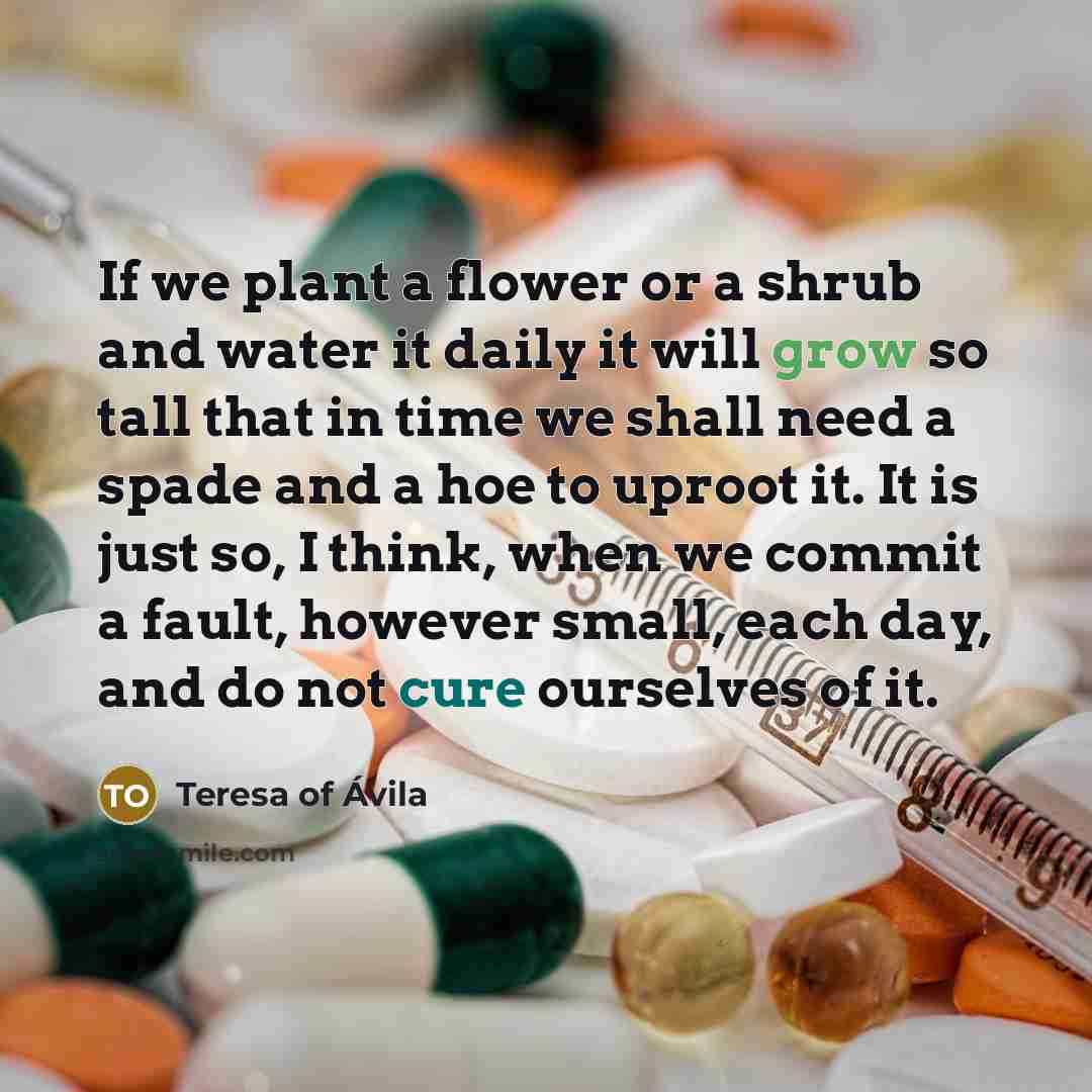 “If we plant a flower or a shrub and water…” quote by Teresa of Avila