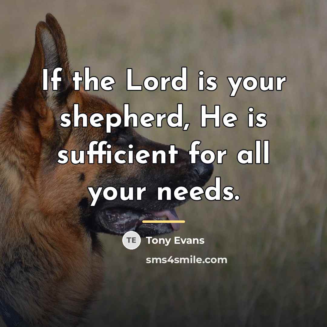 “If the Lord is your shepherd, He is sufficient for…” quote by Tony Evans