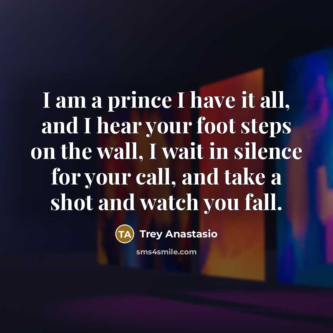 “I am a prince I have it all, and I…” quote by Trey Anastasio