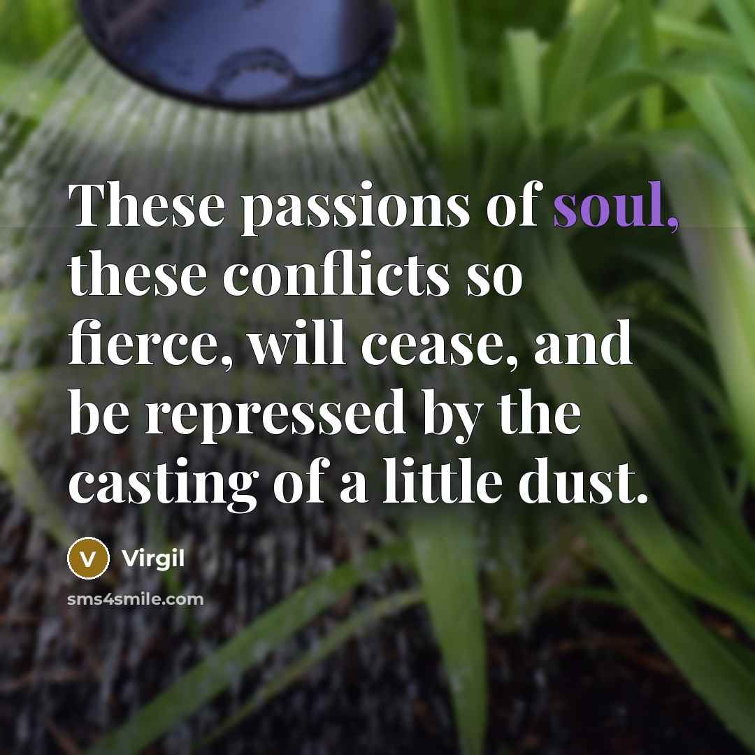 “These passions of soul, these conflicts so fierce, will cease,…” quote by Virgil