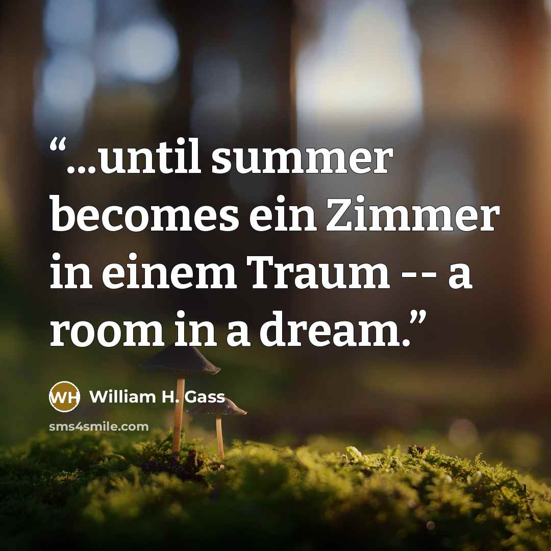 “...until summer becomes ein Zimmer in einem Traum -- a room in a dream.” quote by William H. Gass