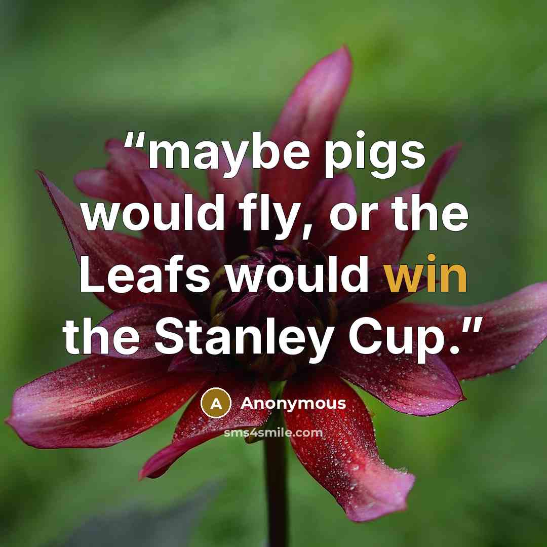 “maybe pigs would fly, or the Leafs would win the Stanley Cup.” quote by Anonymous