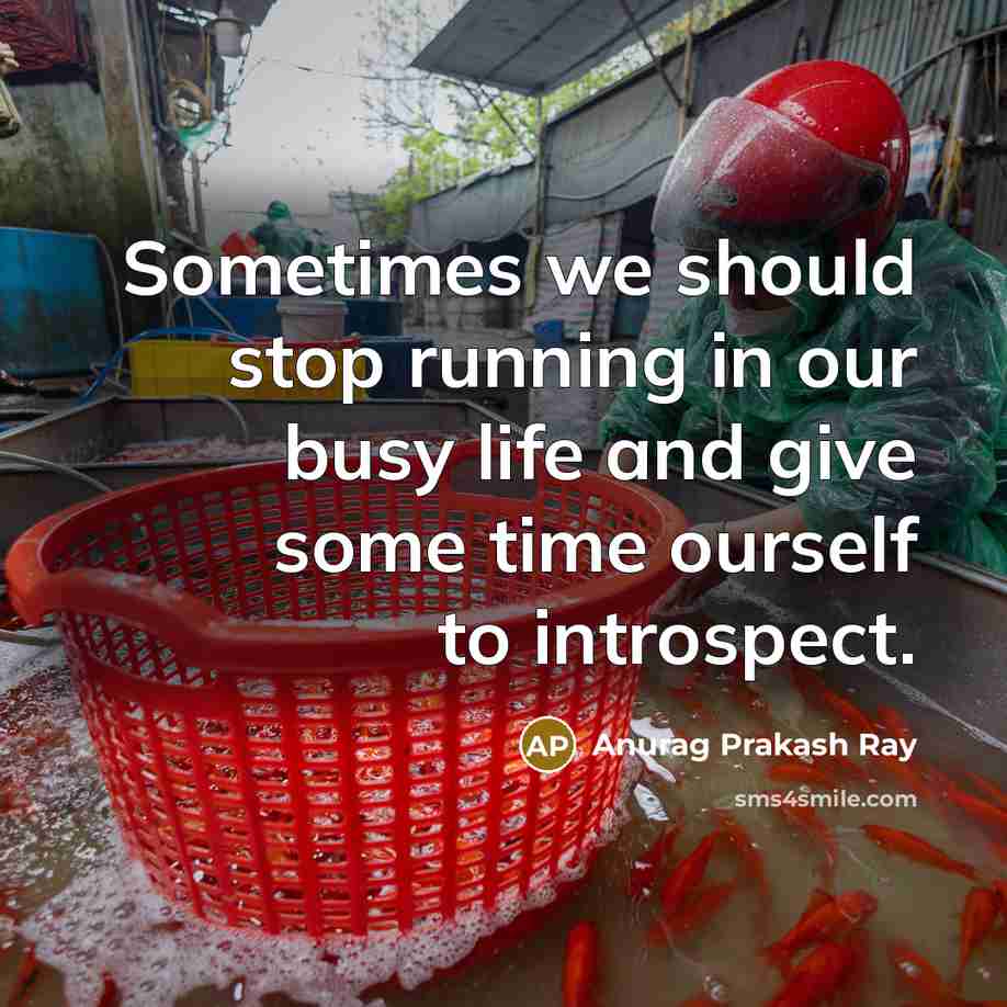 “Sometimes we should stop running in our busy life and…” quote by Anurag Prakash Ray