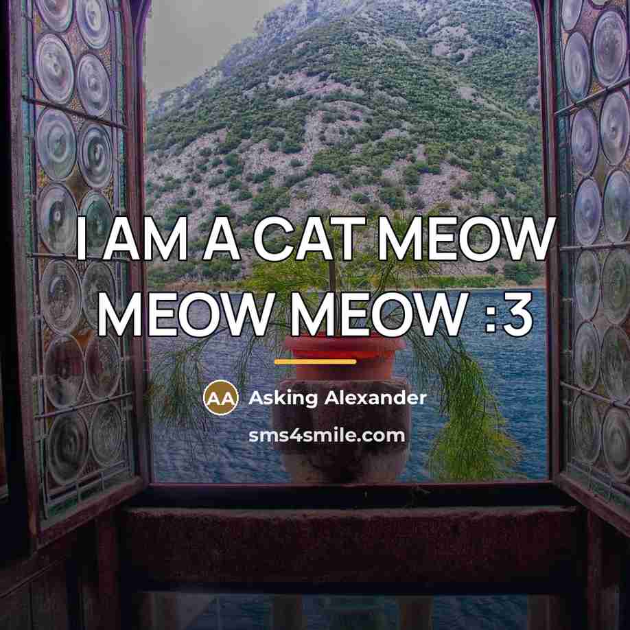 “I AM A CAT MEOW MEOW MEOW :3…” quote by Asking Alexander