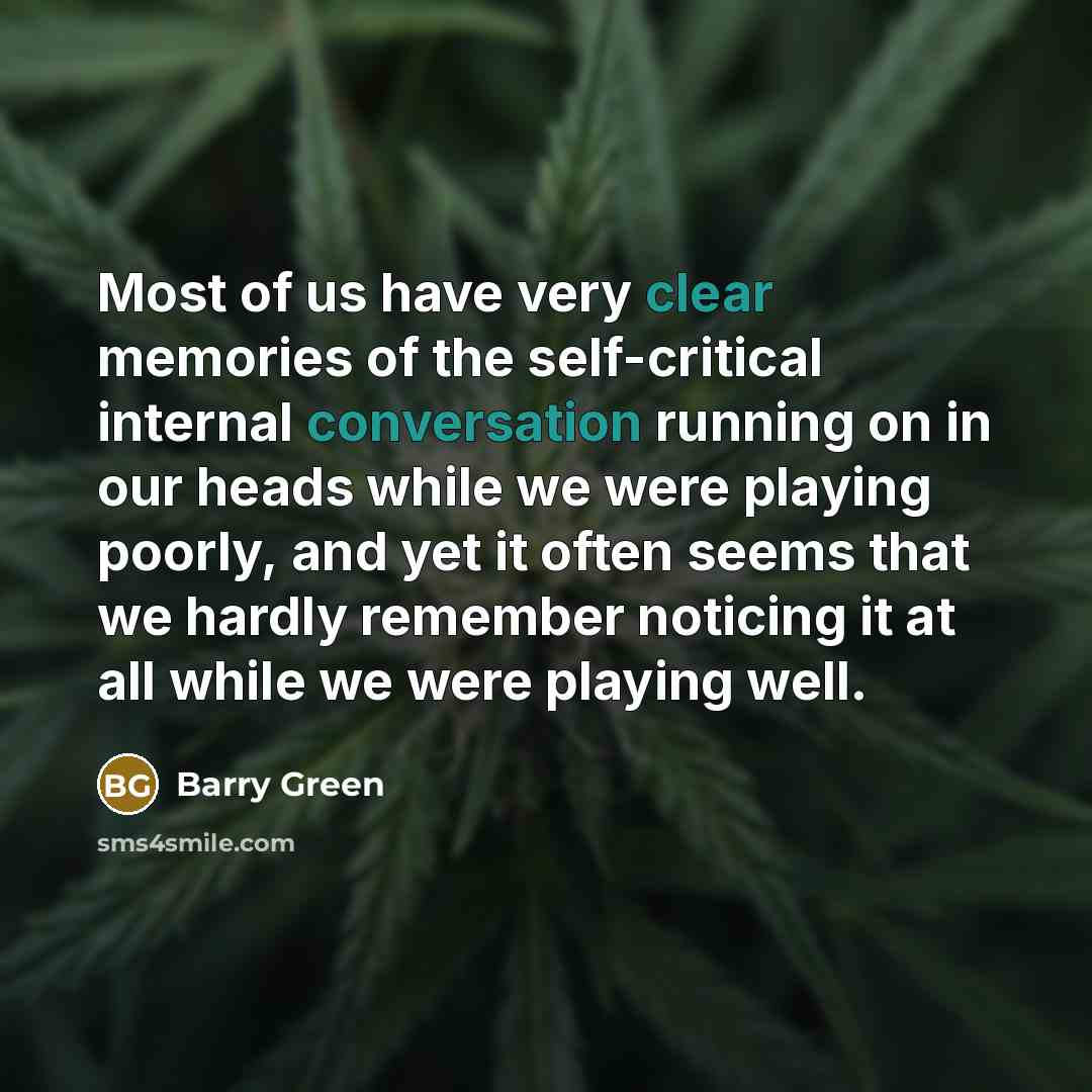 “Most of us have very clear memories of the self-critical…” quote by Barry Green