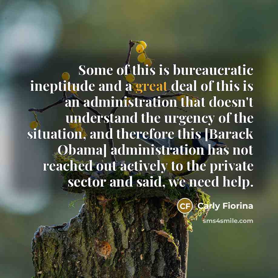 “Some of this is bureaucratic ineptitude and a great deal…” quote by Carly Fiorina