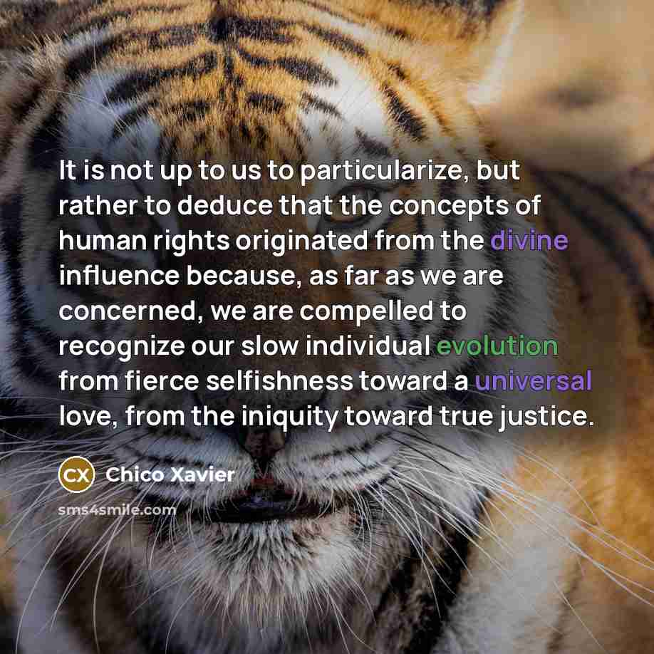 “It is not up to us to particularize, but rather…” quote by Chico Xavier