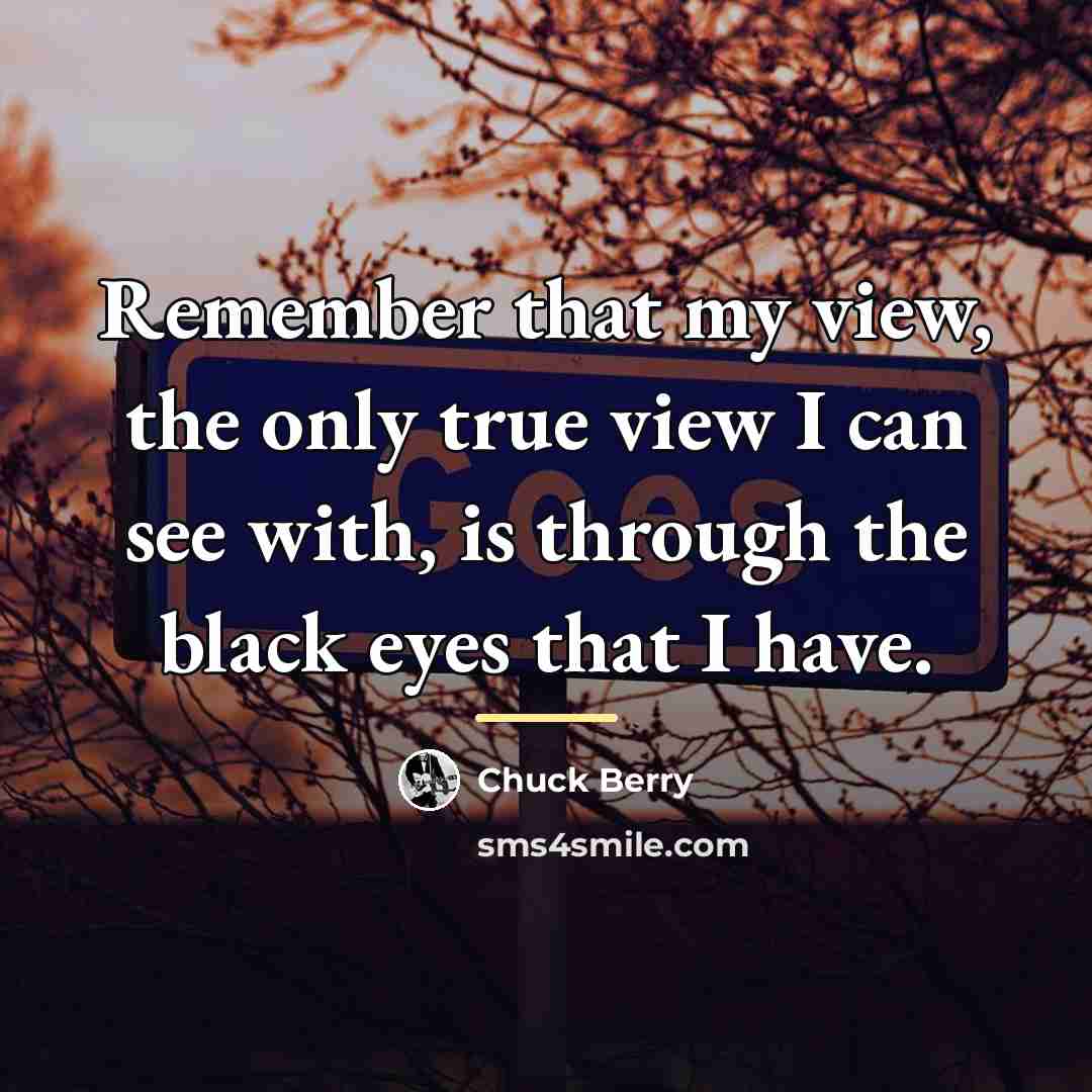 “Remember that my view, the only true view I can…” quote by Chuck Berry