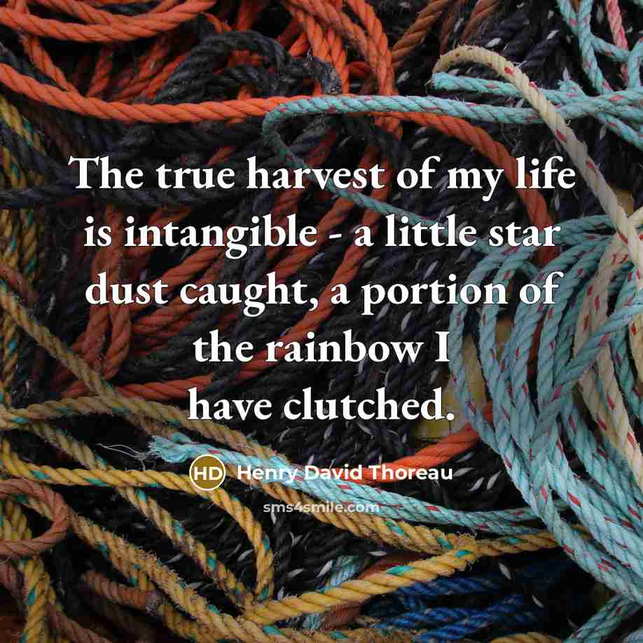 “The true harvest of my life is intangible - a…” quote by Henry David Thoreau