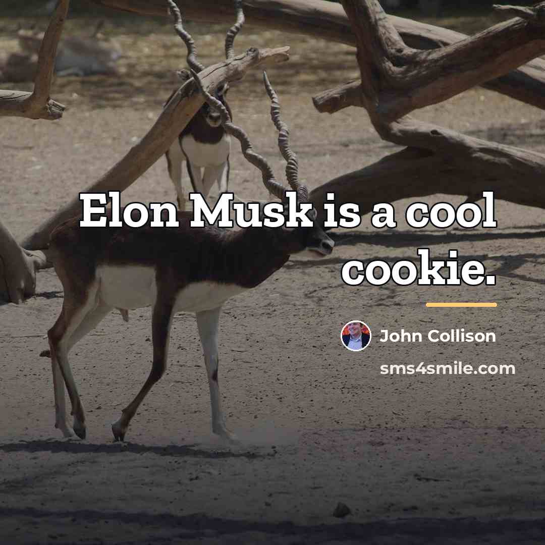 “Elon Musk is a cool cookie.…” quote by John Collison