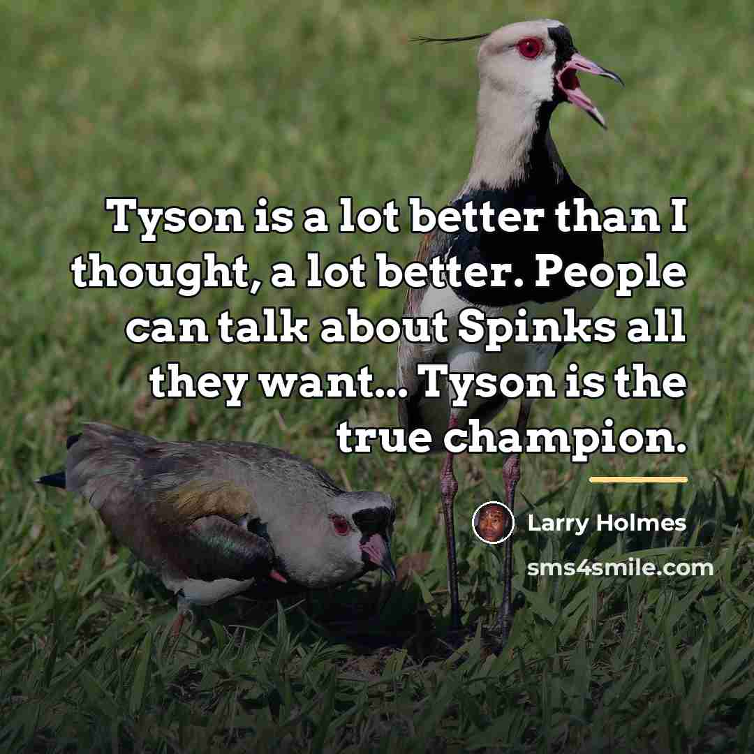 “Tyson is a lot better than I thought, a lot…” quote by Larry Holmes
