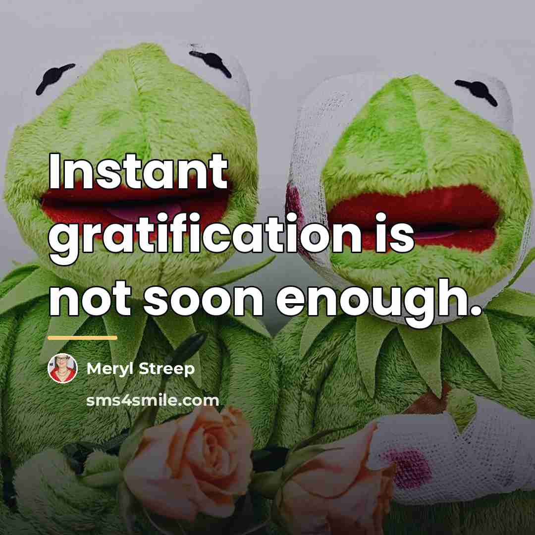 “Instant gratification is not soon enough.…” quote by Meryl Streep