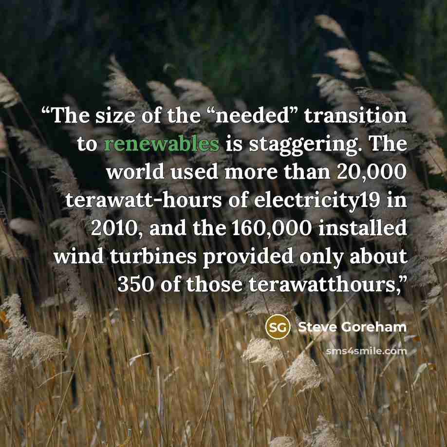 “The size of the “needed” transition to renewables is staggering. The world used more than 20,000 terawatt-hours of electricity19 in 2010, and the 160,000 installed wind turbines provided only about 350 of those terawatthours,” quote by Steve Goreham