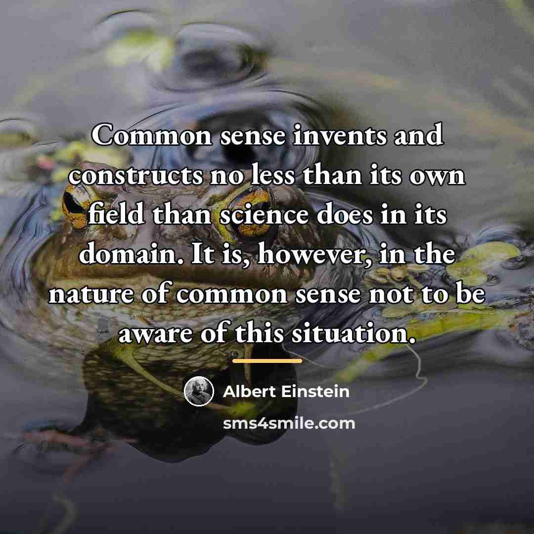 “Common sense invents and constructs no less than its own…” quote by Albert Einstein