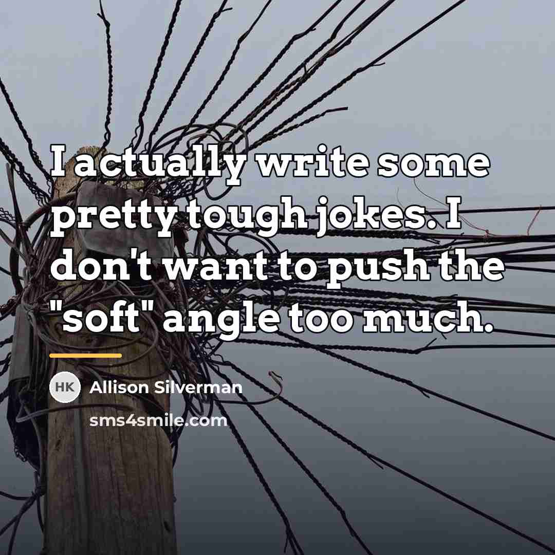 “I actually write some pretty tough jokes. I don't want…” quote by Allison Silverman