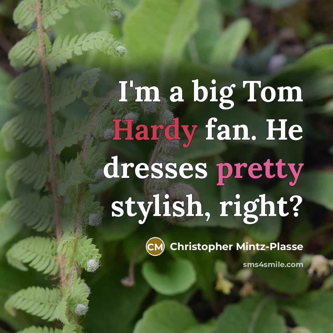 “I'm a big Tom Hardy fan. He dresses pretty stylish,…” quote by Christopher Mintz-Plasse