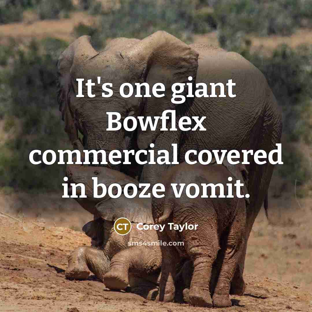 “It's one giant Bowflex commercial covered in booze vomit.…” quote by Corey Taylor