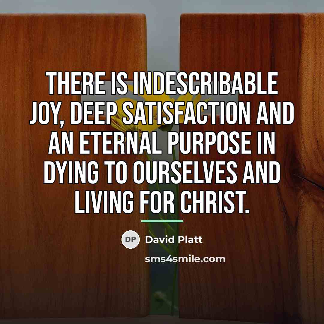 “There is indescribable joy, deep satisfaction and an eternal purpose…” quote by David Platt