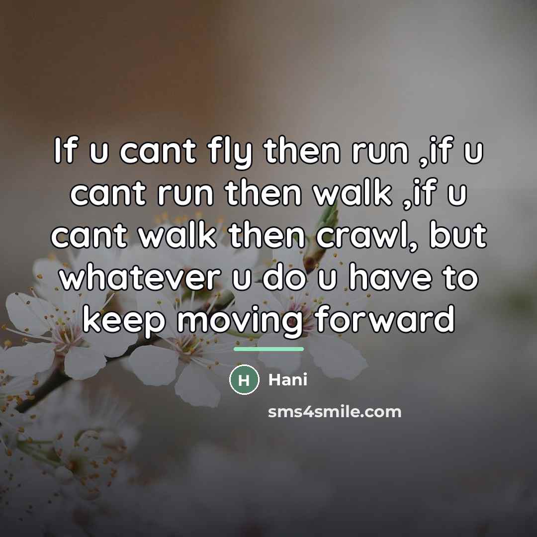 “If u cant fly then run ,if u cant run…” quote by Hani
