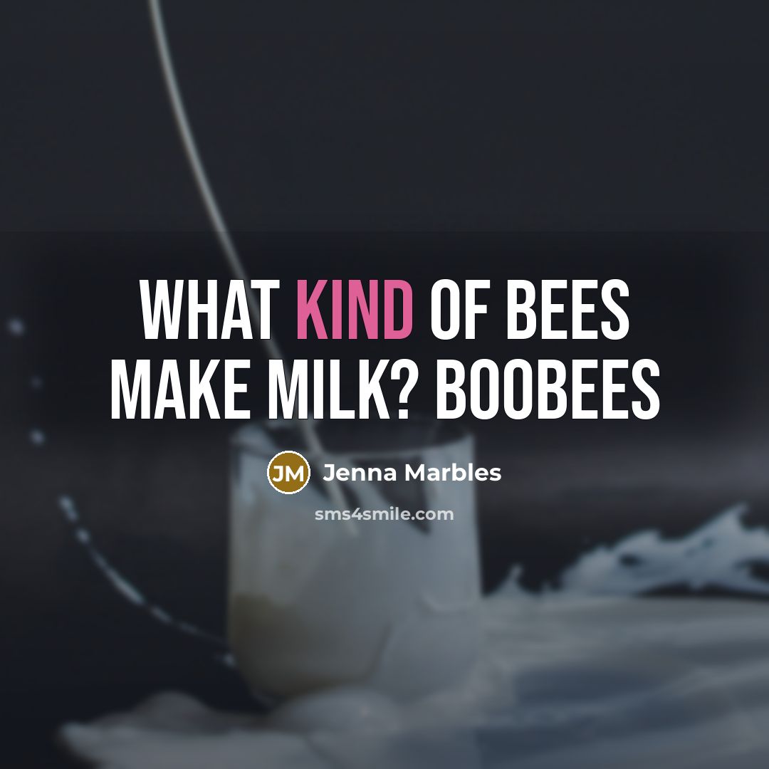 “What kind of bees make milk? BOOBEES” quote by Jenna Marbles