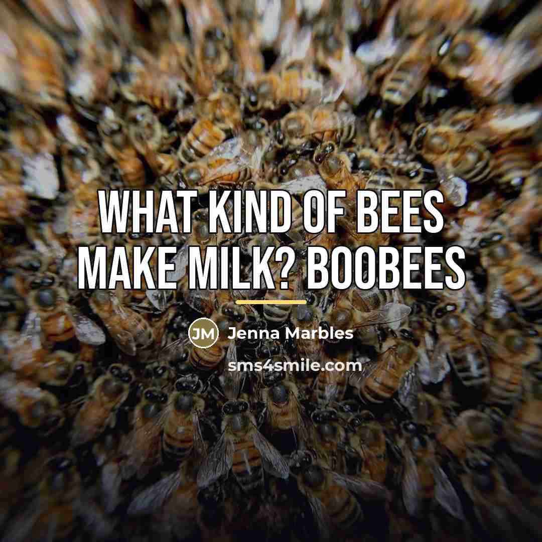 “What kind of bees make milk? BOOBEES…” quote by Jenna Marbles