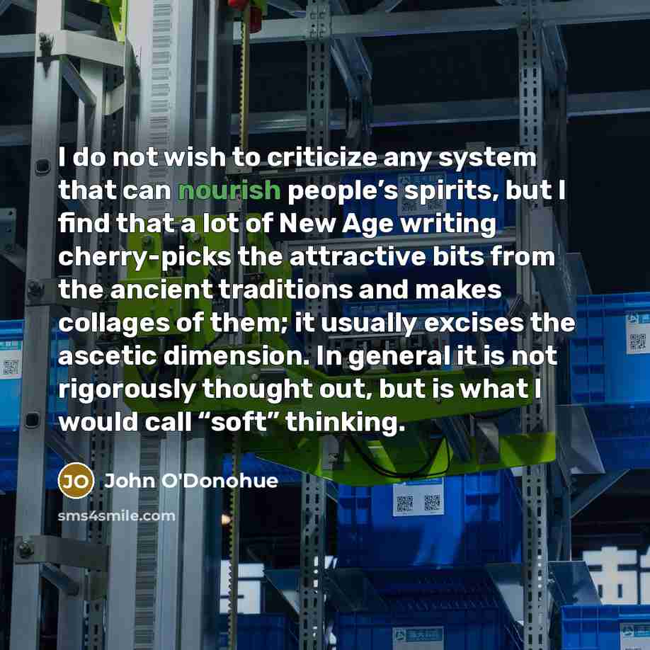 “I do not wish to criticize any system that can…” quote by John O'Donohue