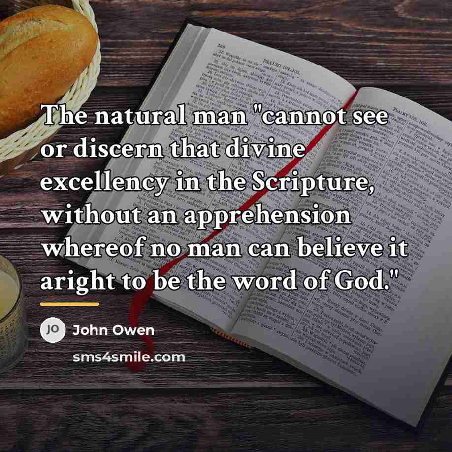 “The natural man "cannot see or discern that divine excellency…” quote by John Owen