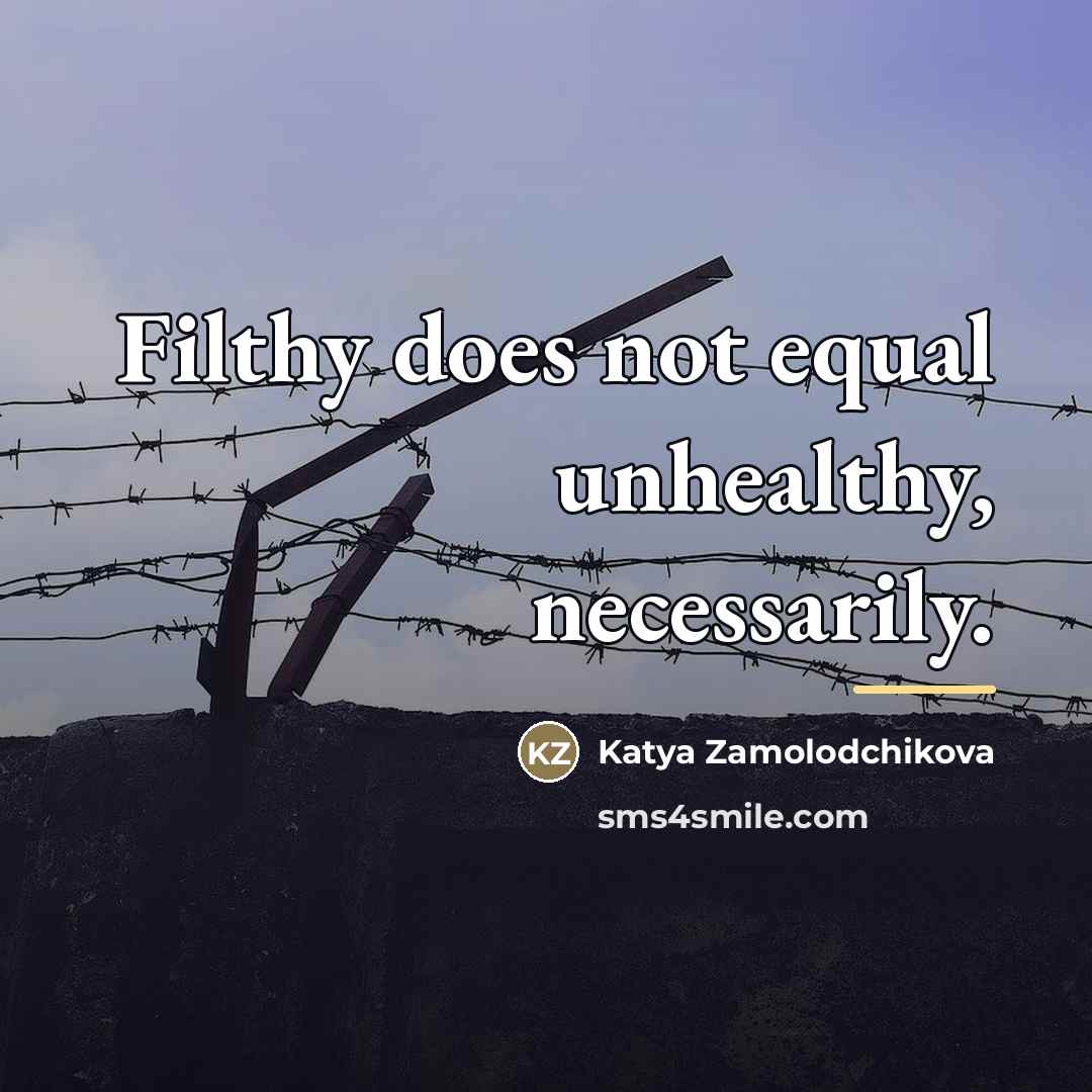 “Filthy does not equal unhealthy, necessarily.…” quote by Katya Zamolodchikova