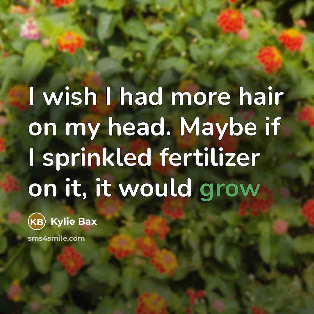 “I wish I had more hair on my head. Maybe…” quote by Kylie Bax