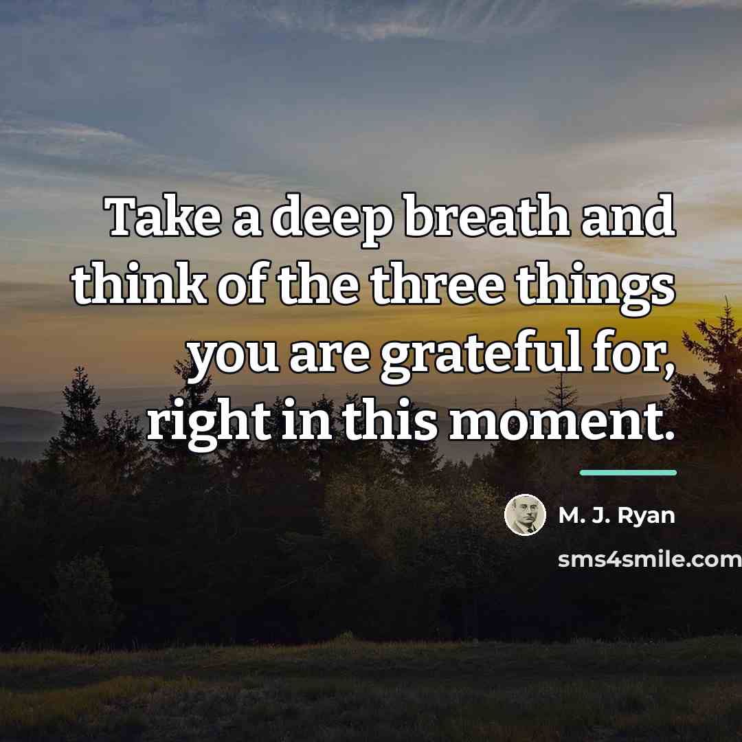 “Take a deep breath and think of the three things…” quote by M. J. Ryan