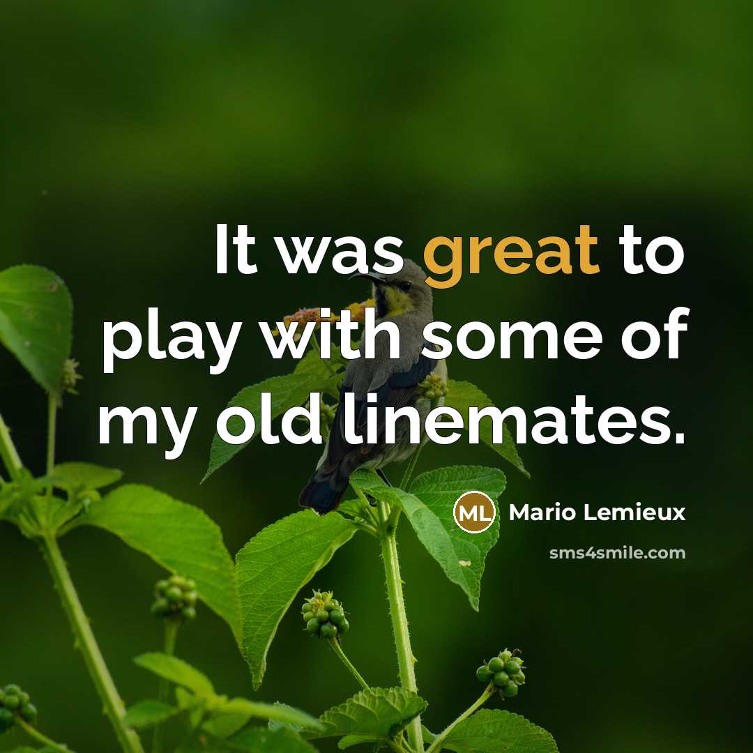 “It was great to play with some of my old linemates.” quote by Mario Lemieux
