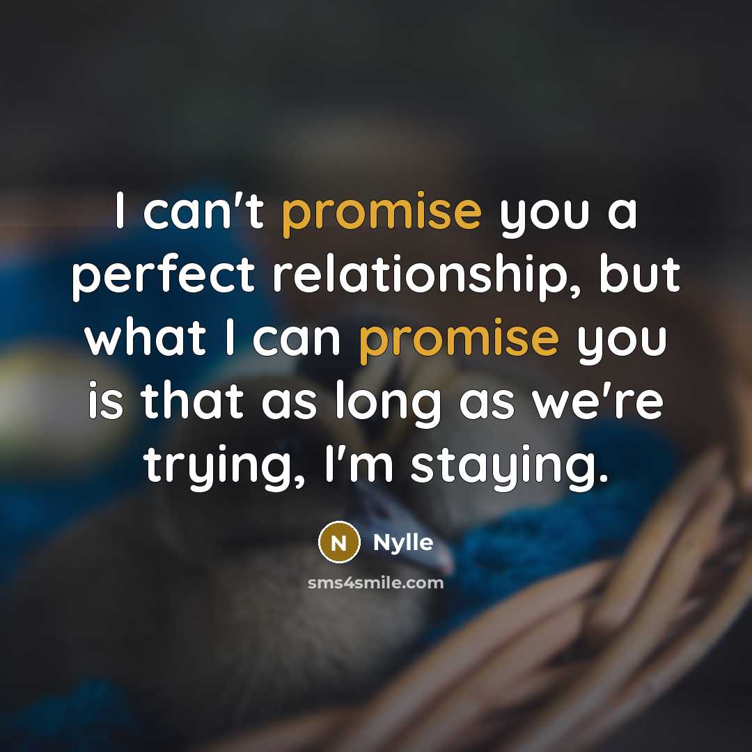 “I can't promise you a perfect relationship, but what I…” quote by Nylle